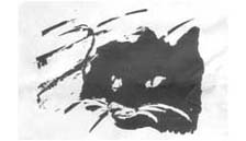 The Sourcerers Apprentice - Cat Needs Feeding The Sourcerers Apprentice - Cat Needs Feeding